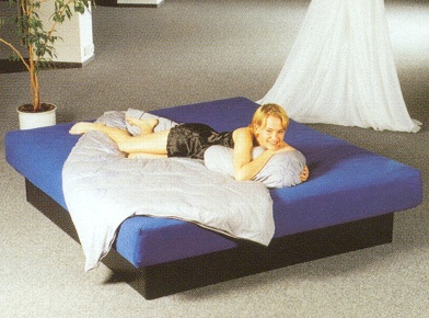 Water Beds Frames on How To Buy A Waterbed   Diana Sherman
