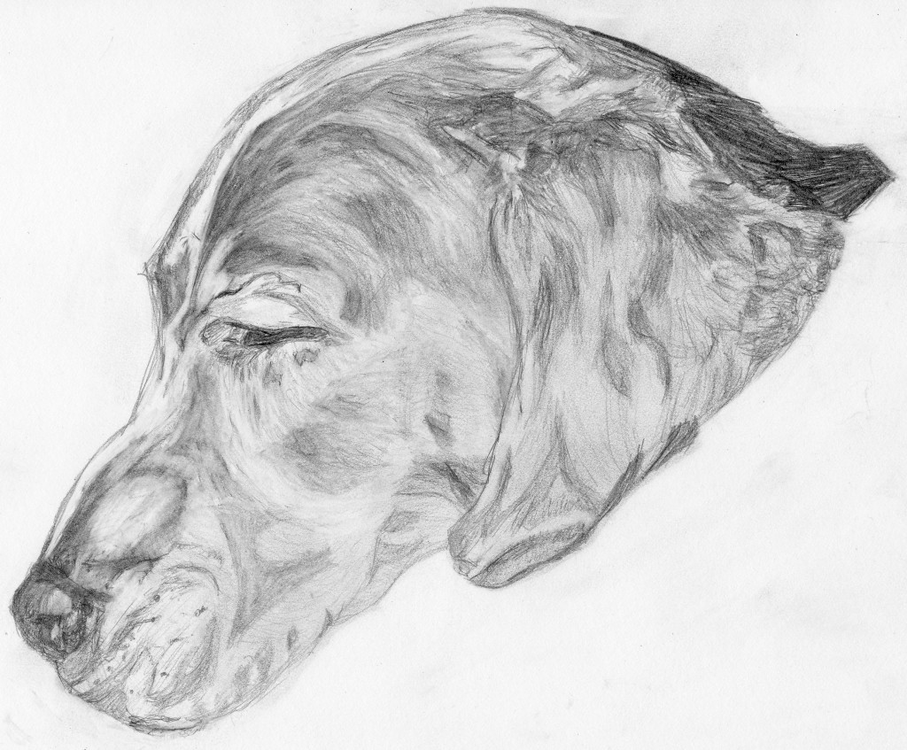 bryse3